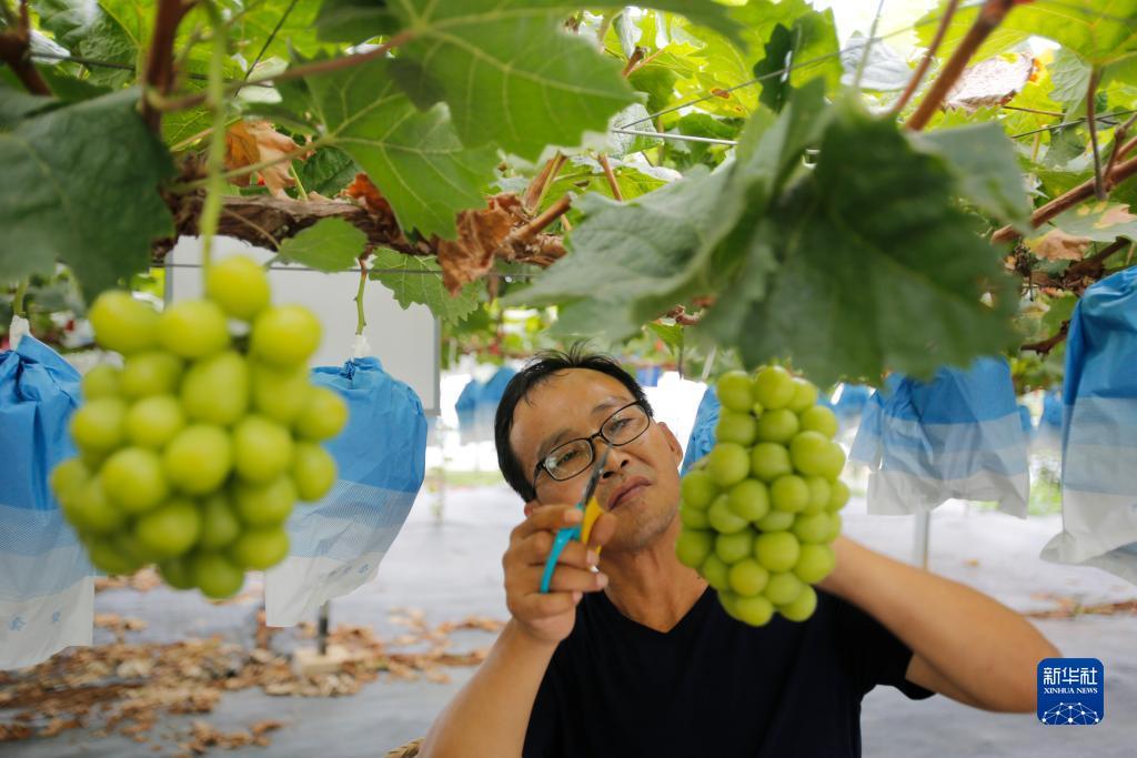 捕鱼游戏电脑版