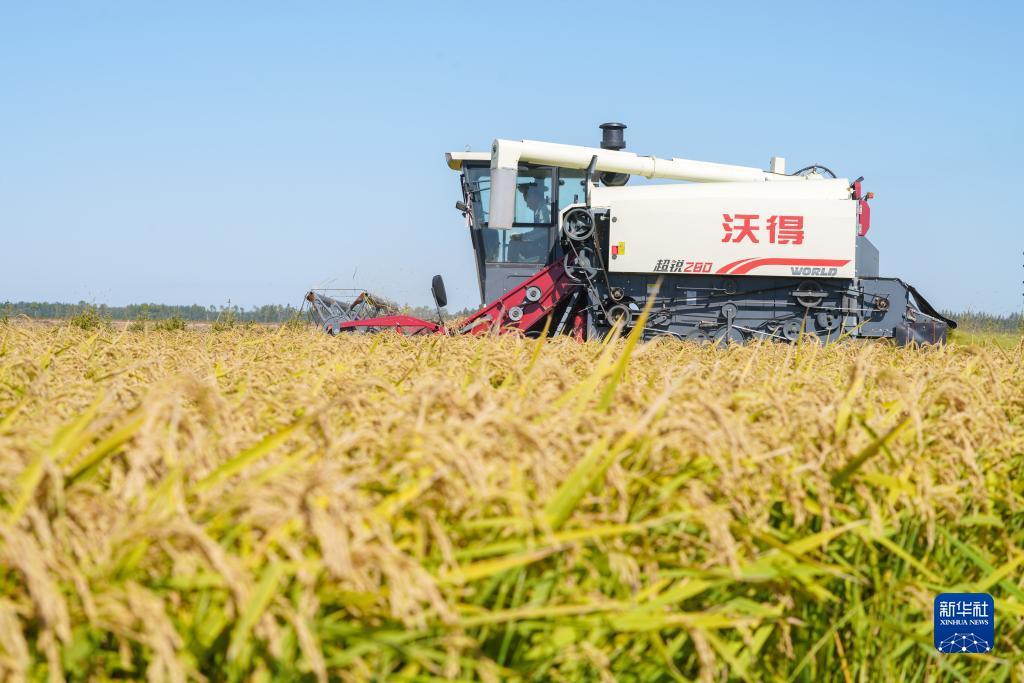 金沙账号js登陆